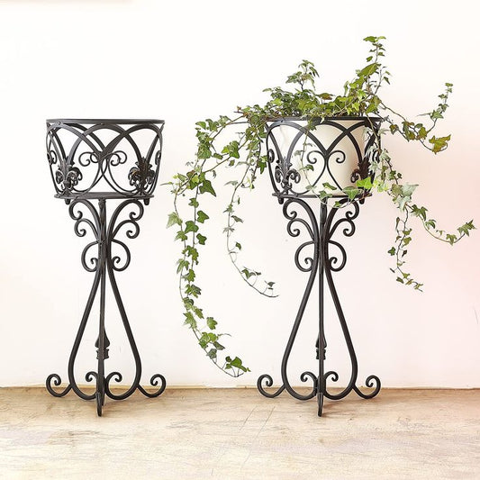 Florence Scroll Iron Planter Stand (Set of 2)